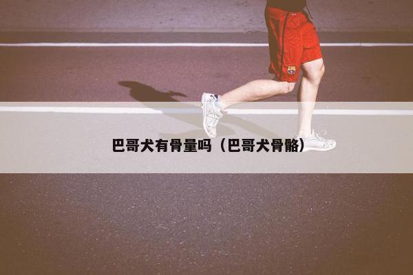 巴哥犬有骨量吗（巴哥犬骨骼）
