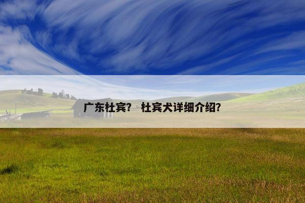 广东杜宾？ 杜宾犬详细介绍？