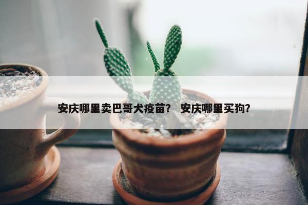 安庆哪里卖巴哥犬疫苗？ 安庆哪里买狗？