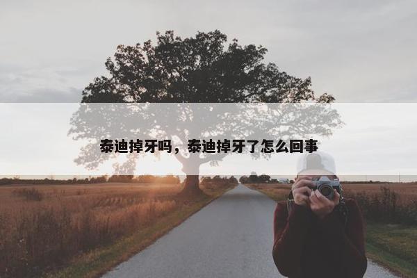 泰迪掉牙吗，泰迪掉牙了怎么回事