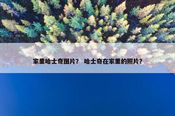 家里哈士奇图片？ 哈士奇在家里的照片？