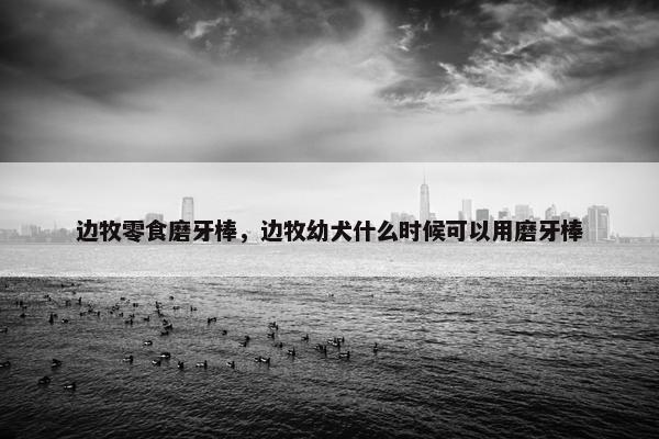 边牧零食磨牙棒，边牧幼犬什么时候可以用磨牙棒