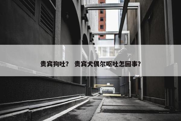 贵宾狗吐？ 贵宾犬偶尔呕吐怎回事？