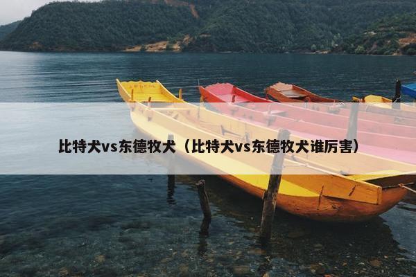 比特犬vs东德牧犬（比特犬vs东德牧犬谁厉害）