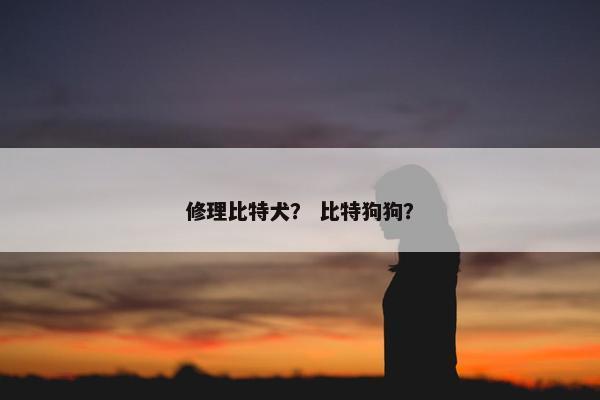 修理比特犬？ 比特狗狗？