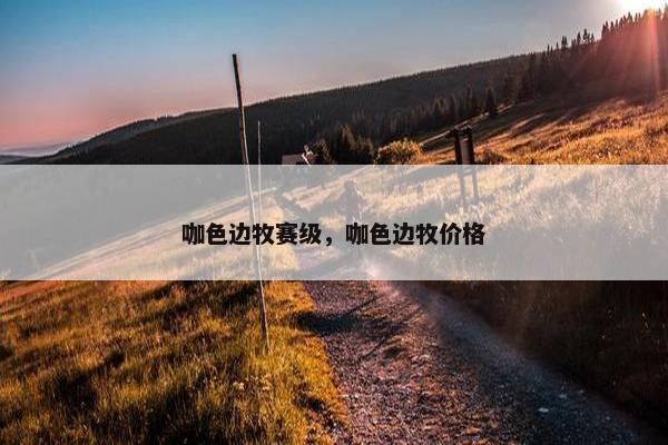 咖色边牧赛级，咖色边牧价格