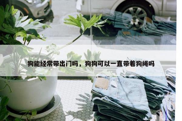 狗能经常带出门吗，狗狗可以一直带着狗绳吗