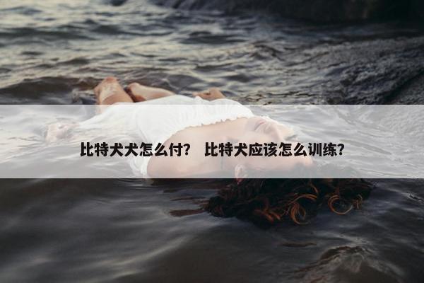 比特犬犬怎么付？ 比特犬应该怎么训练？