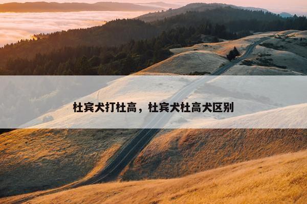 杜宾犬打杜高，杜宾犬杜高犬区别