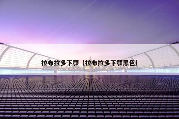 拉布拉多下颚（拉布拉多下颚黑色）