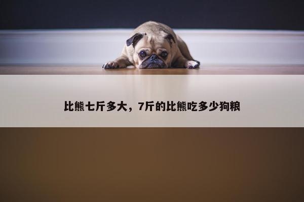 比熊七斤多大，7斤的比熊吃多少狗粮