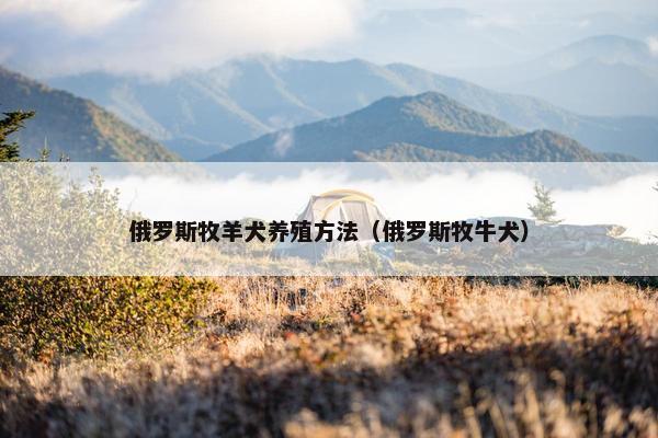 俄罗斯牧羊犬养殖方法（俄罗斯牧牛犬）