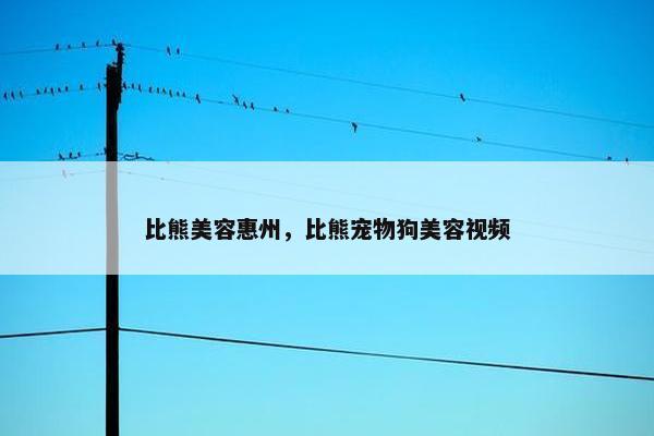比熊美容惠州，比熊宠物狗美容视频
