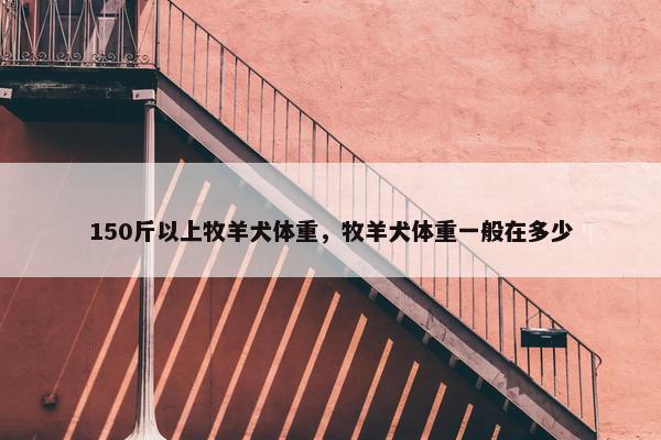 150斤以上牧羊犬体重，牧羊犬体重一般在多少