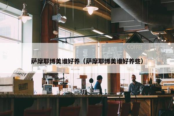萨摩耶博美谁好养（萨摩耶博美谁好养些）