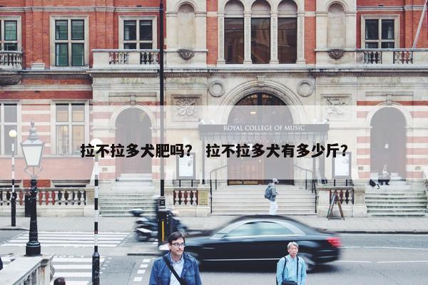 拉不拉多犬肥吗？ 拉不拉多犬有多少斤？