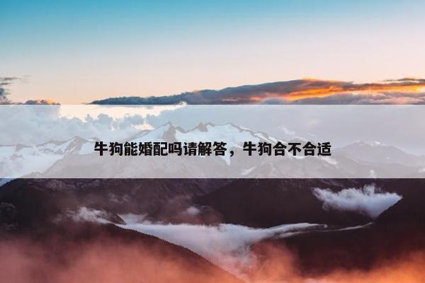 牛狗能婚配吗请解答，牛狗合不合适