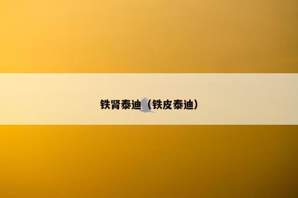 铁肾泰迪（铁皮泰迪）