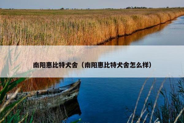 南阳惠比特犬舍（南阳惠比特犬舍怎么样）