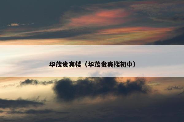 华茂贵宾楼（华茂贵宾楼初中）