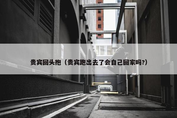 贵宾回头抱（贵宾跑出去了会自己回家吗?）