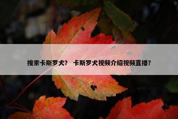 搜索卡斯罗犬？ 卡斯罗犬视频介绍视频直播？