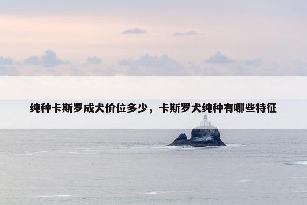 纯种卡斯罗成犬价位多少，卡斯罗犬纯种有哪些特征