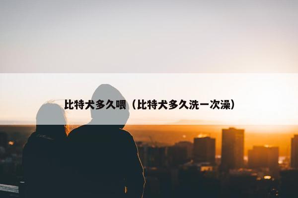 比特犬多久喂（比特犬多久洗一次澡）