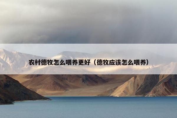 农村德牧怎么喂养更好（德牧应该怎么喂养）