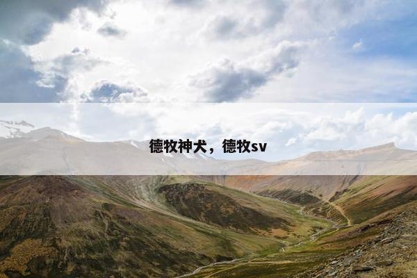 德牧神犬，德牧sv