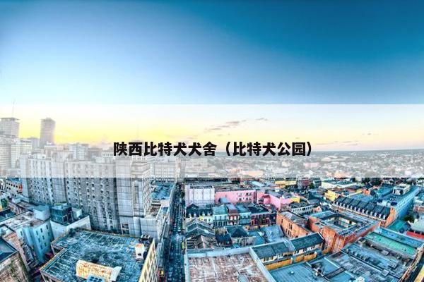 陕西比特犬犬舍（比特犬公园）