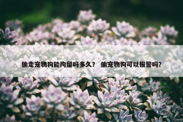 偷走宠物狗能拘留吗多久？ 偷宠物狗可以报警吗？