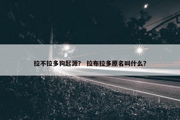 拉不拉多狗起源？ 拉布拉多原名叫什么？