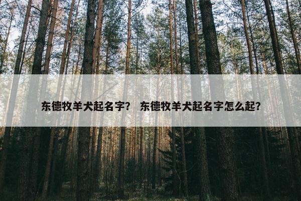 东德牧羊犬起名字？ 东德牧羊犬起名字怎么起？