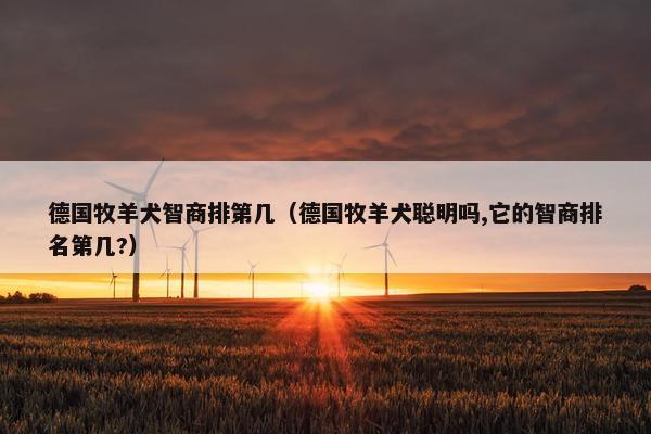 德国牧羊犬智商排第几（德国牧羊犬聪明吗,它的智商排名第几?）