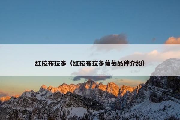 红拉布拉多（红拉布拉多葡萄品种介绍）