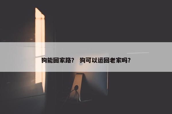 狗能回家路？ 狗可以运回老家吗？