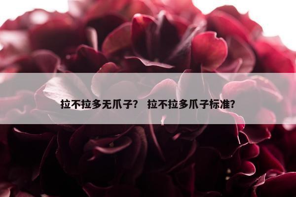 拉不拉多无爪子？ 拉不拉多爪子标准？