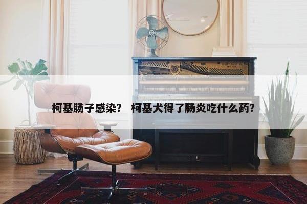 柯基肠子感染？ 柯基犬得了肠炎吃什么药？