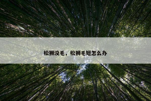 松狮没毛，松狮毛短怎么办
