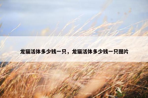 龙猫活体多少钱一只，龙猫活体多少钱一只图片