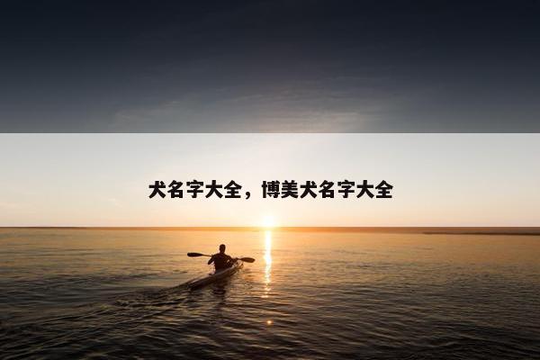 犬名字大全，博美犬名字大全