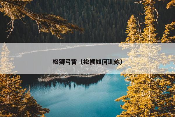 松狮弓背（松狮如何训练）