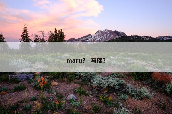 maru？ 马瑞？