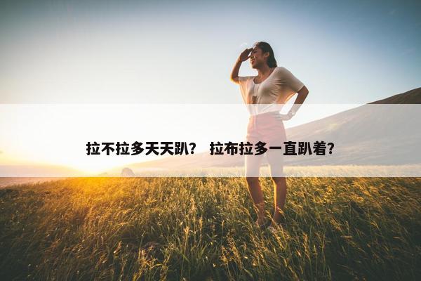 拉不拉多天天趴？ 拉布拉多一直趴着？
