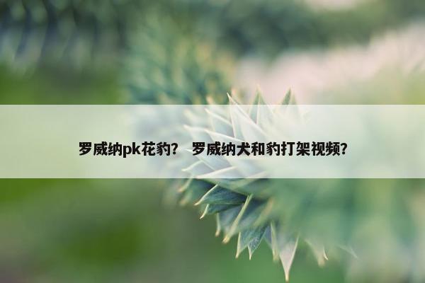 罗威纳pk花豹？ 罗威纳犬和豹打架视频？