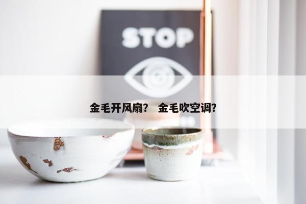 金毛开风扇？ 金毛吹空调？