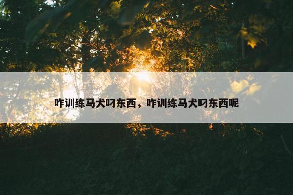 咋训练马犬叼东西，咋训练马犬叼东西呢