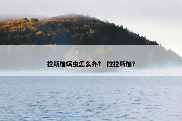 拉斯加螨虫怎么办？ 拉拉斯加？