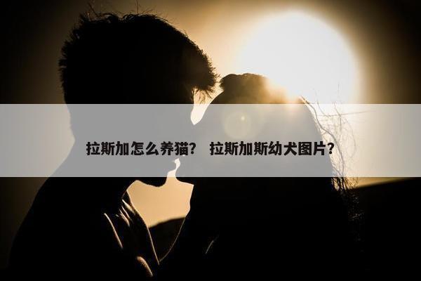 拉斯加怎么养猫？ 拉斯加斯幼犬图片？